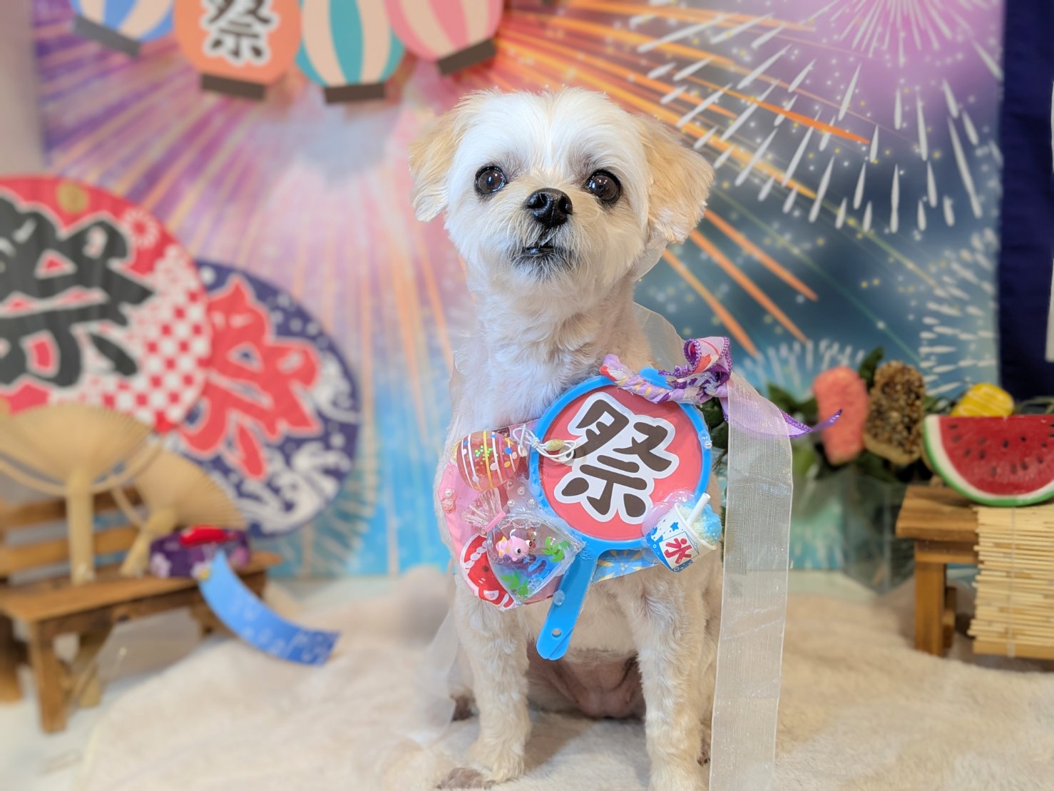 9月4日(木)のお客様