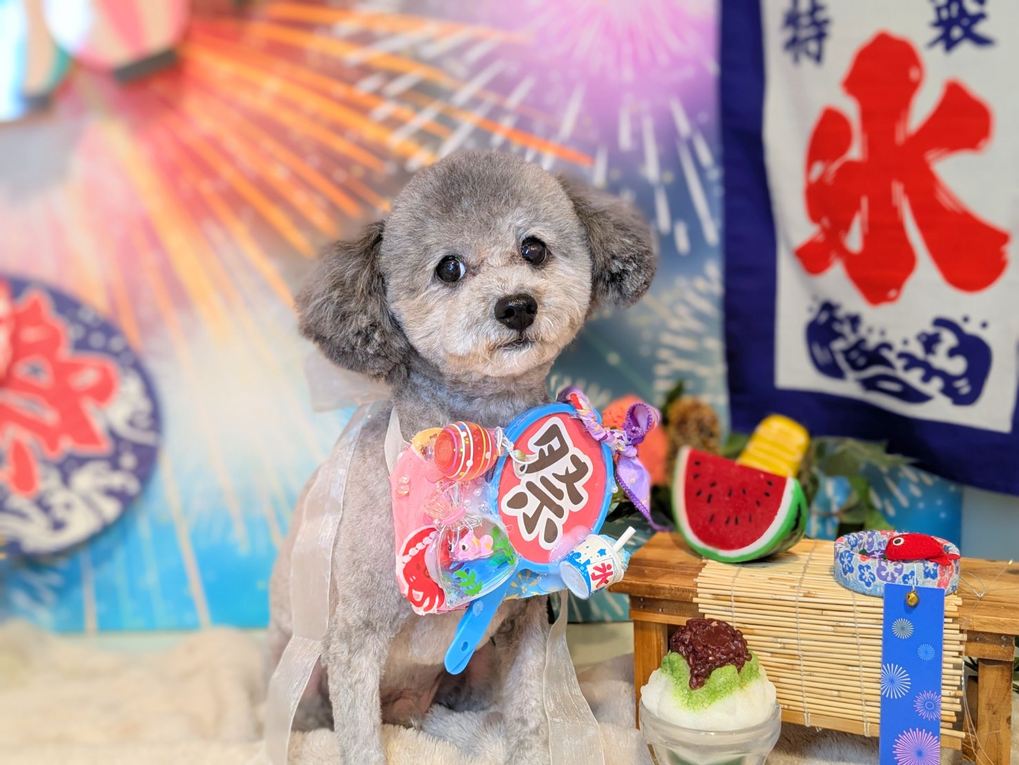 9月7日(日)のお客様