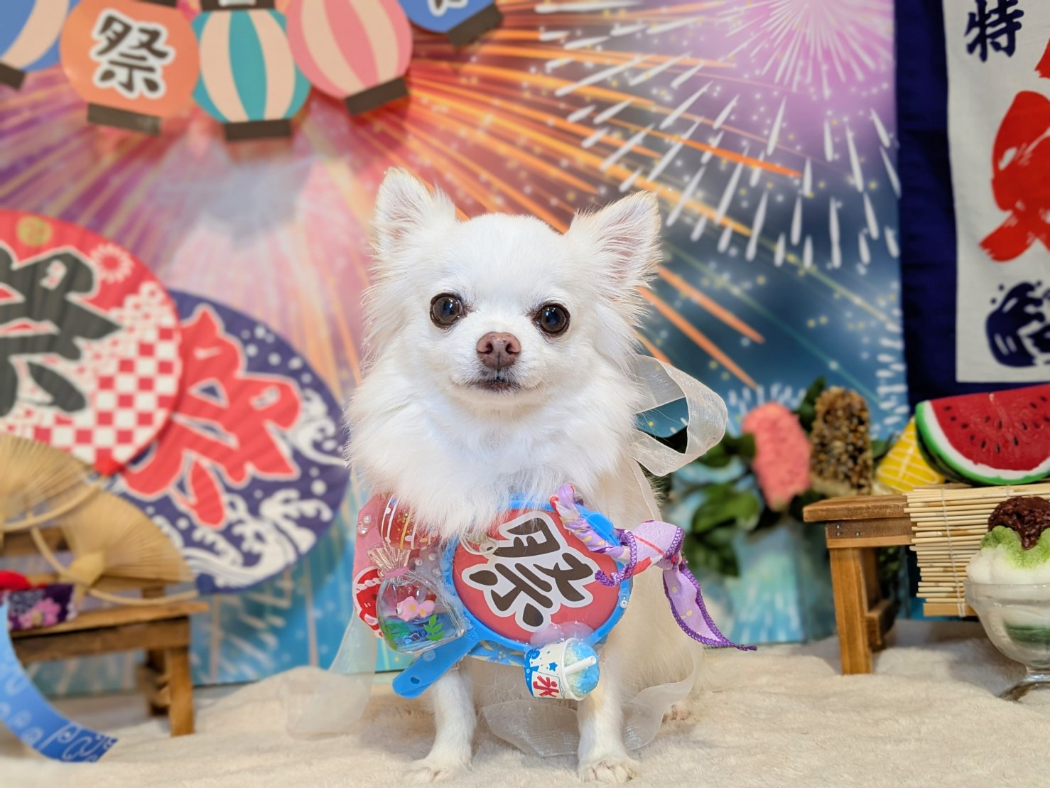 9月8日(月)のお客様