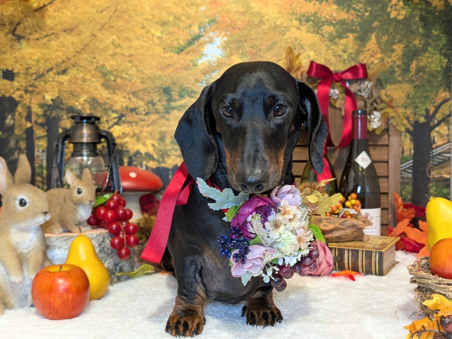 10月29日(水)のお客様