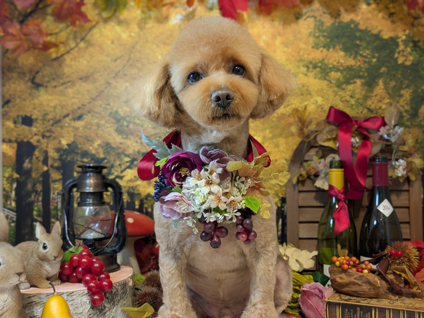 11月8日(土)のお客様