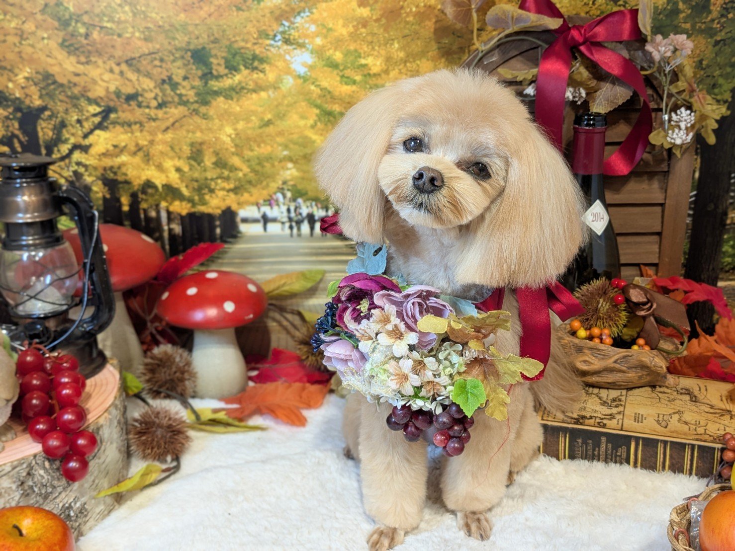 11月22日(土)のお客様