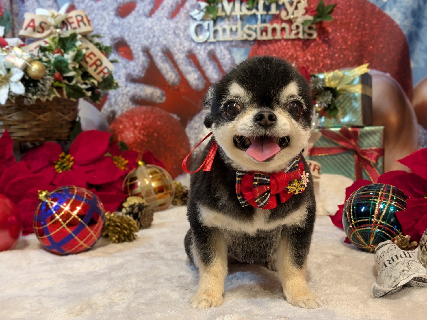 12月13日(土)のお客様