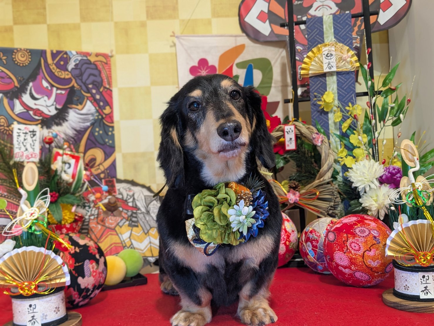 12月26日(金)のお客様