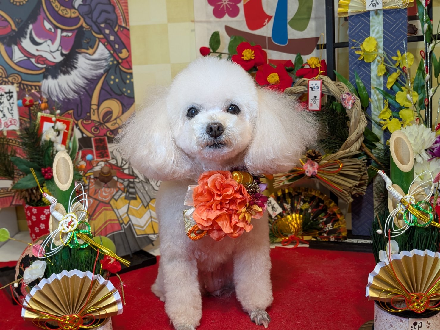 12月28日(日)のお客様