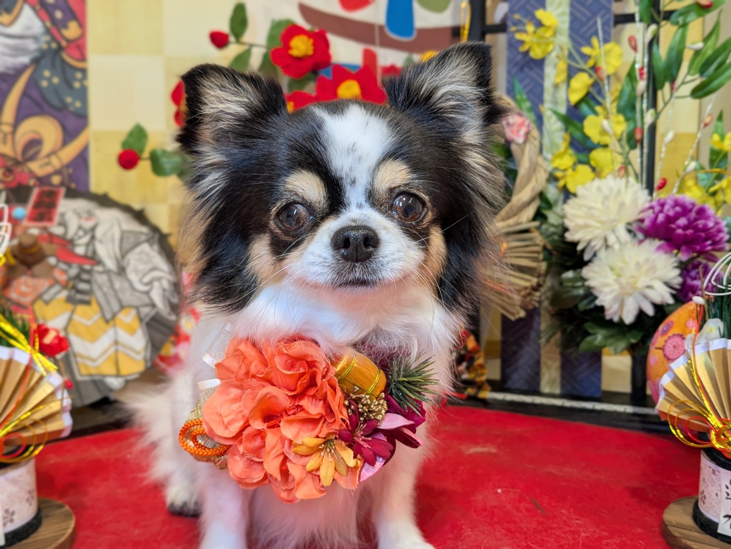 12月30日(火)のお客様