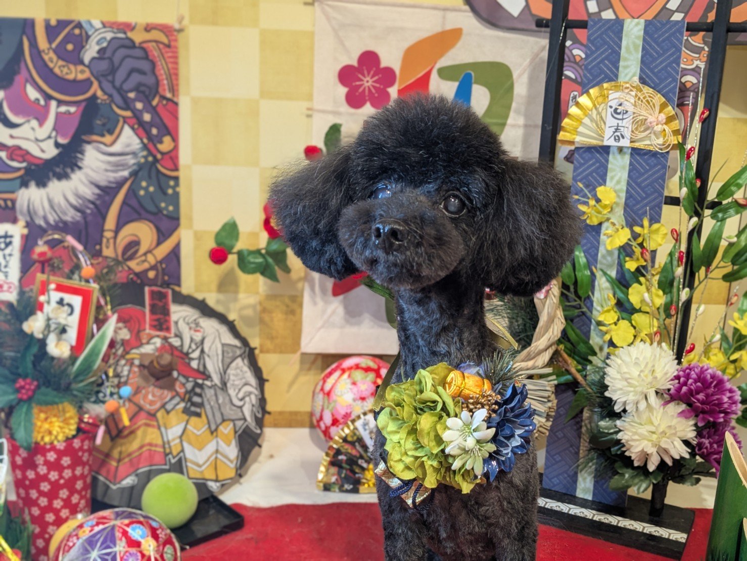 1月7日(水)のお客様