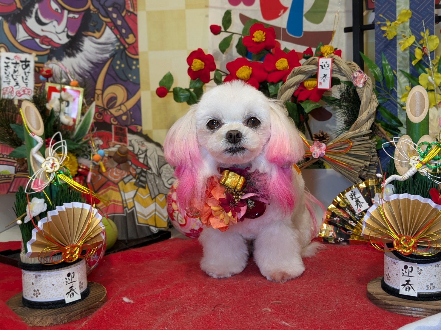1月8日(木)のお客様