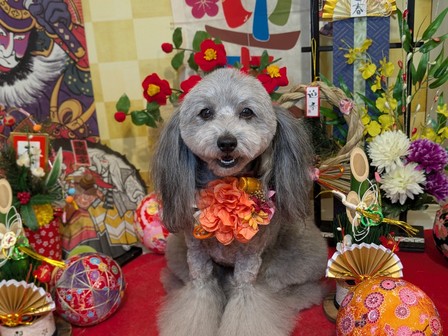 1月9日(金)のお客様