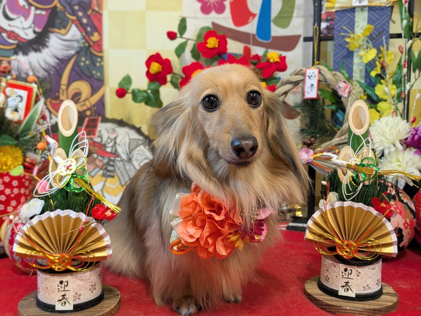 1月10日(土)のお客様