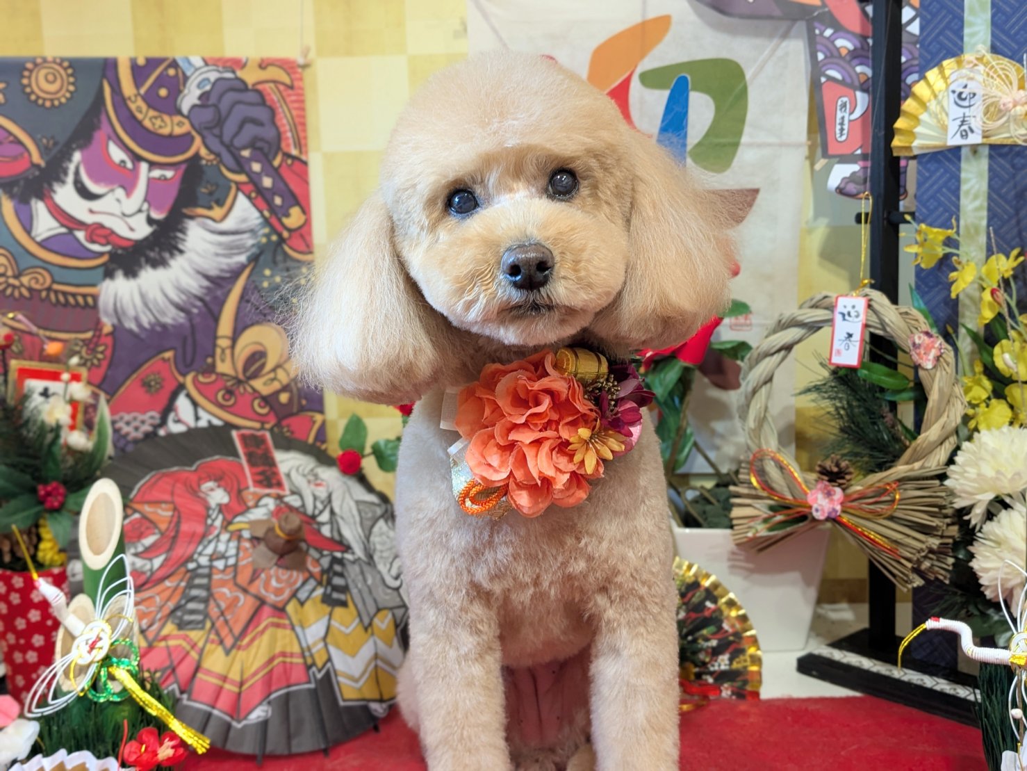 1月14日(水)のお客様