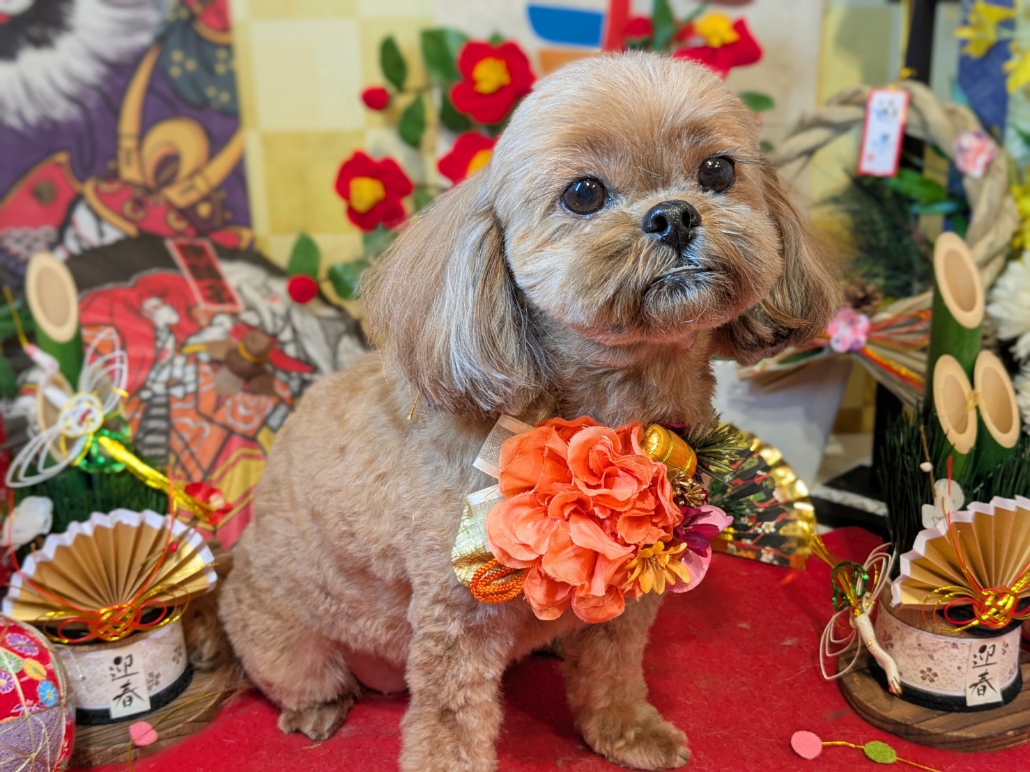 1月15日(木)のお客様