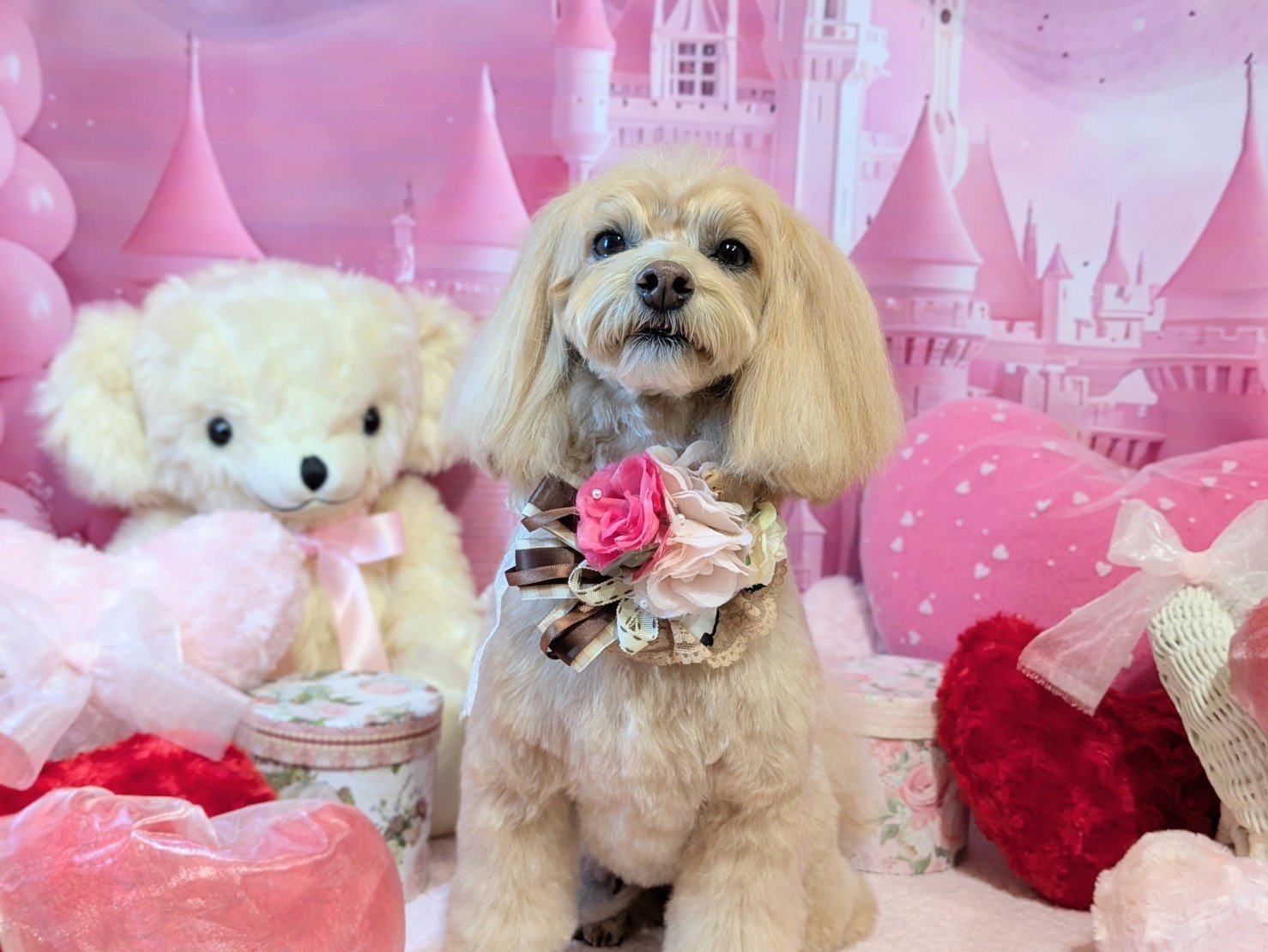 1月21日(水)のお客様