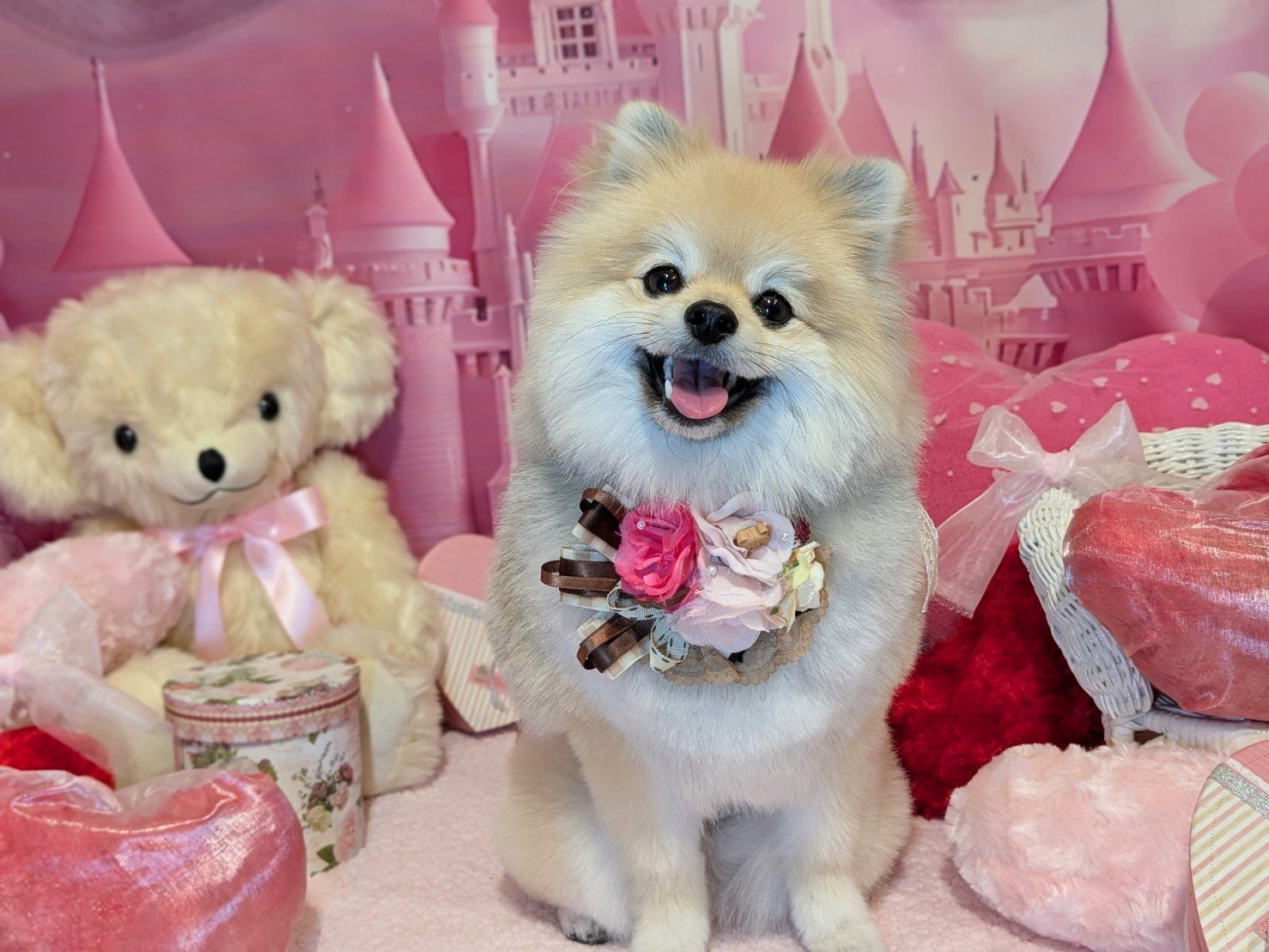 1月22日(木)のお客様