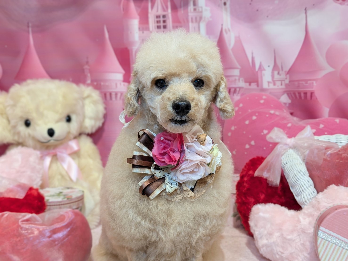 1月31日(土)のお客様