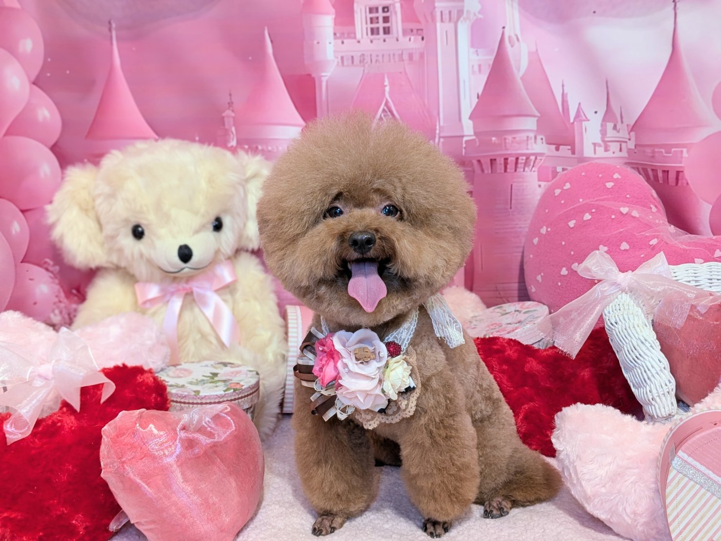 2月1日(日)のお客様