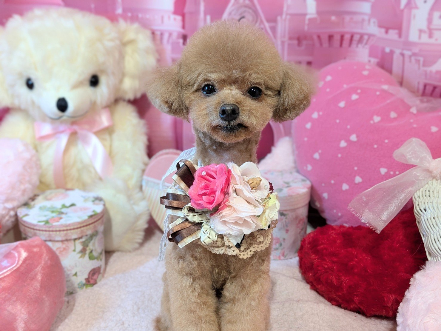 2月7日(土)のお客様