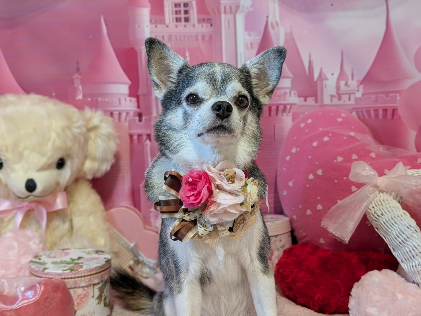 2月9日(月)のお客様