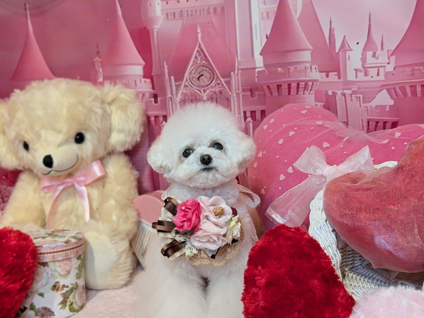 2月12日(木)のお客様