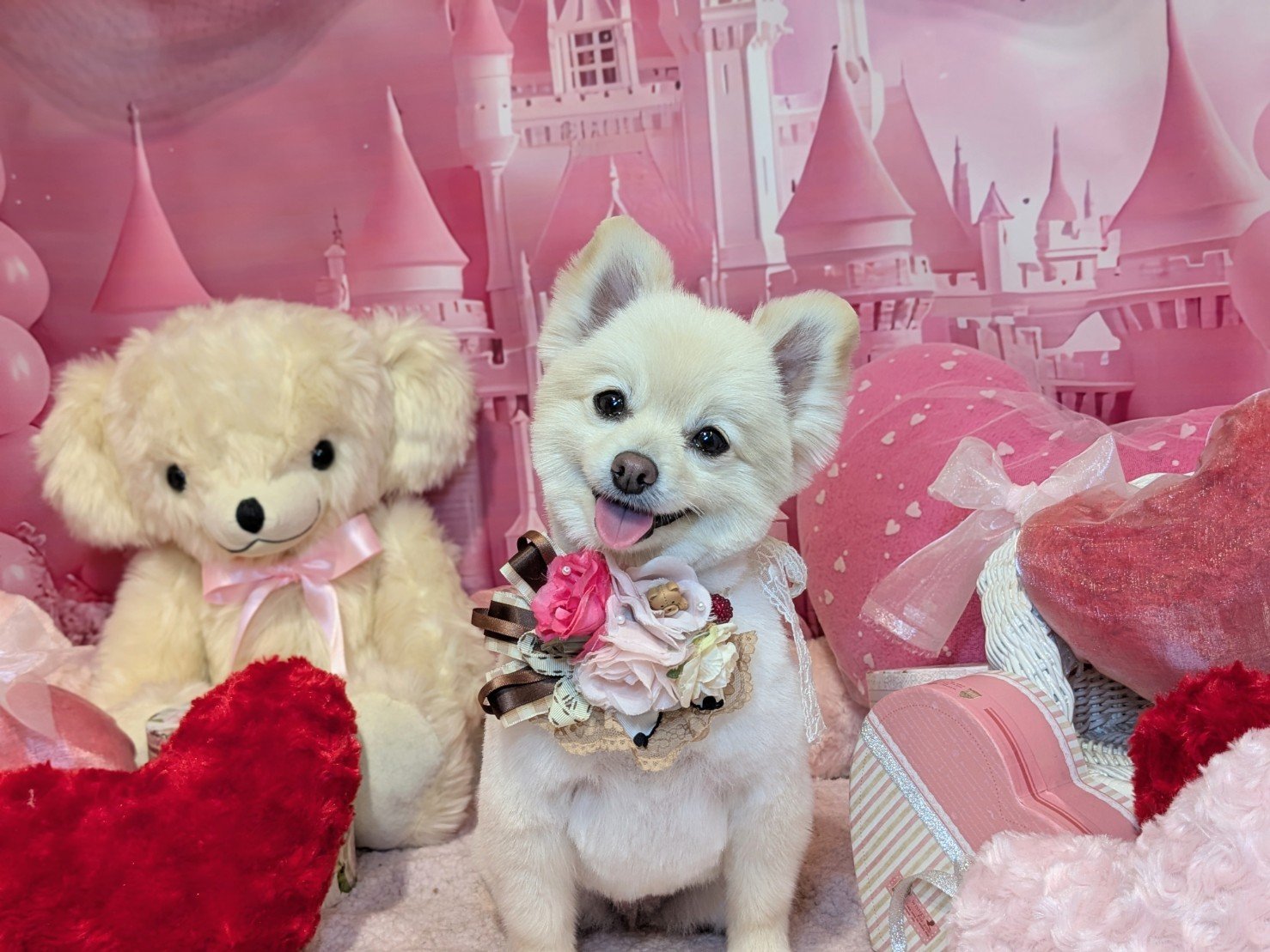 2月13日(金)のお客様