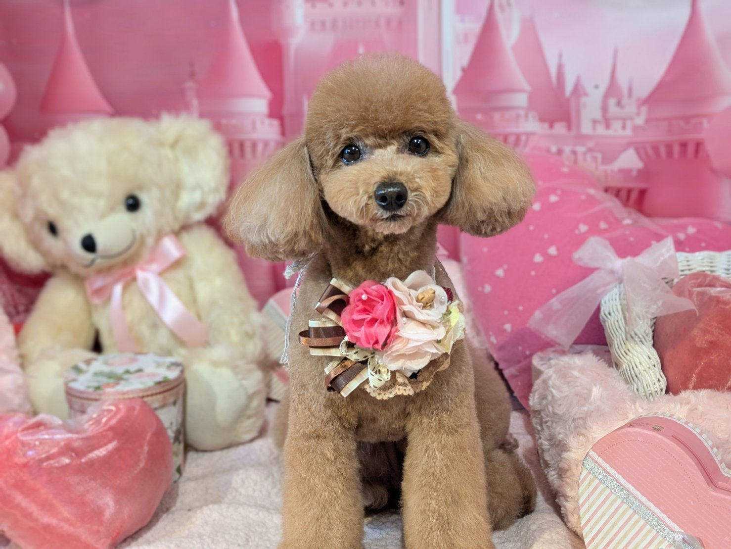 2月18日(水)のお客様