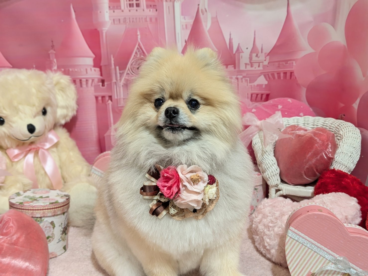 2月20日(金)のお客様