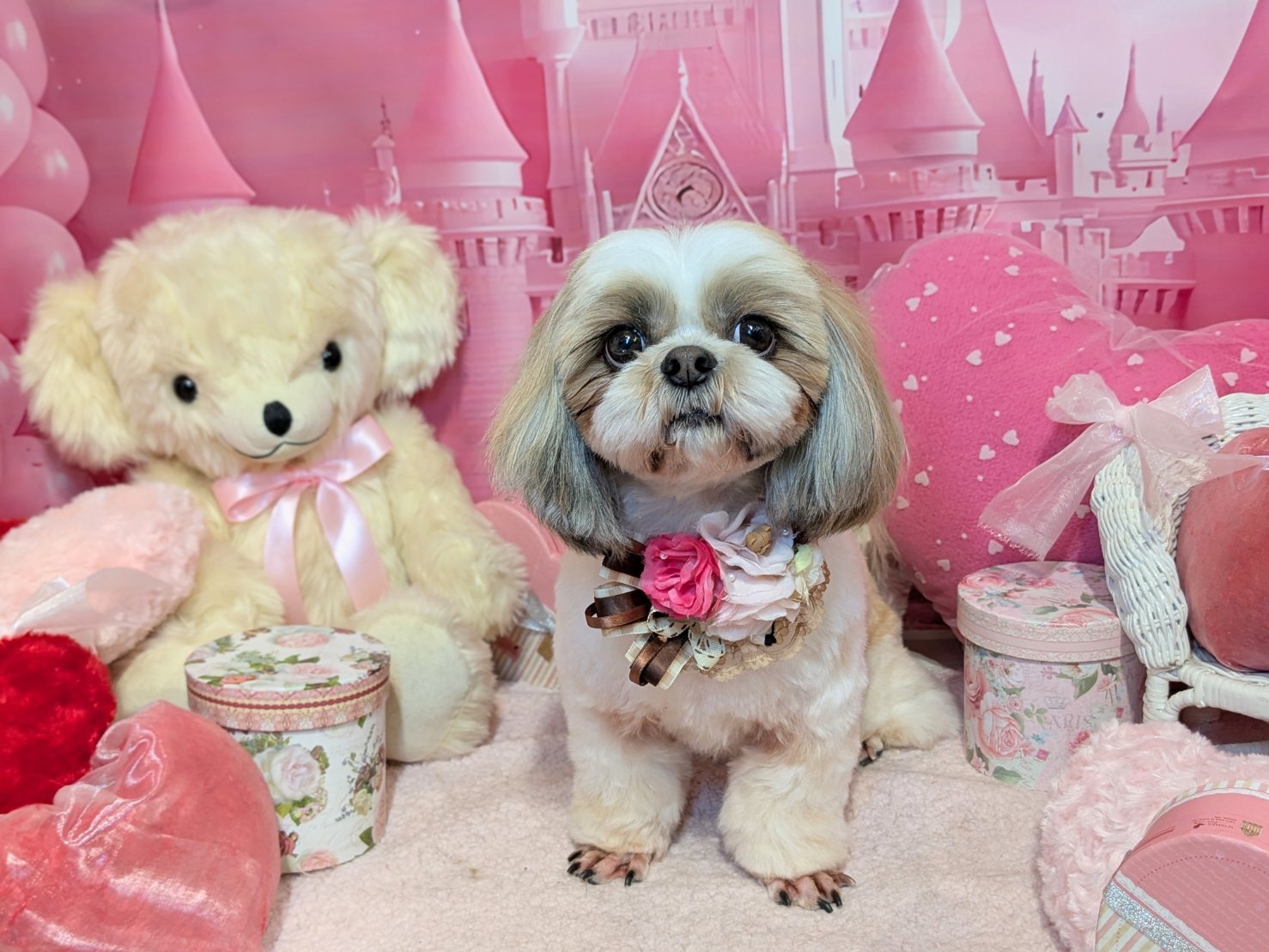 2月21日(土)のお客様