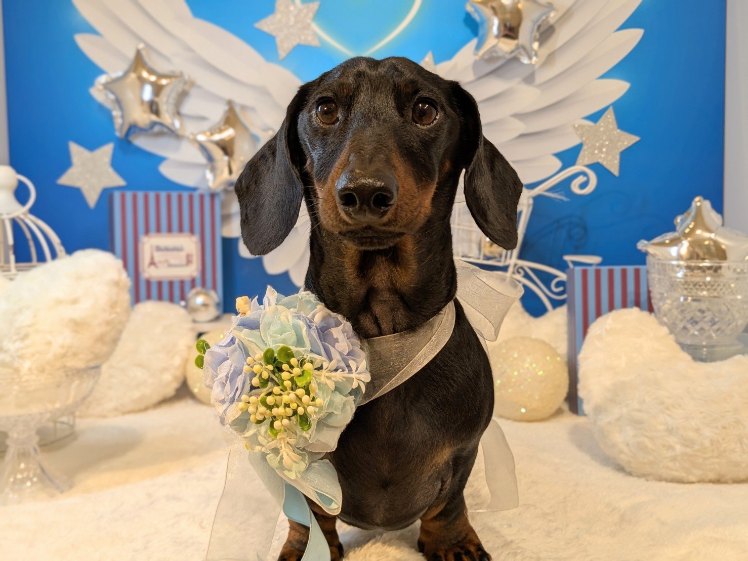 2月25日(水)のお客様