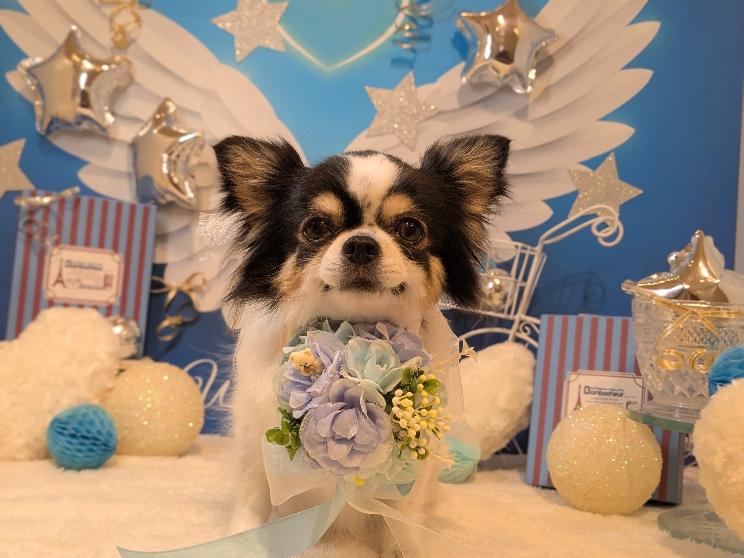 2月26日(木)のお客様