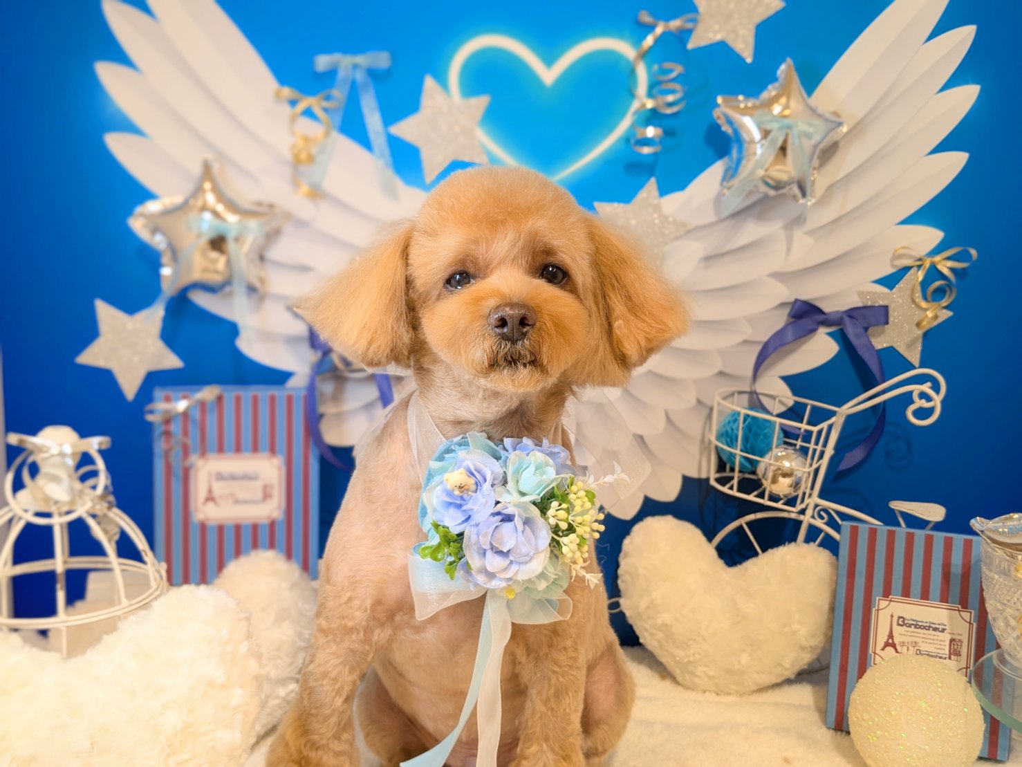 2月28日(土)のお客様