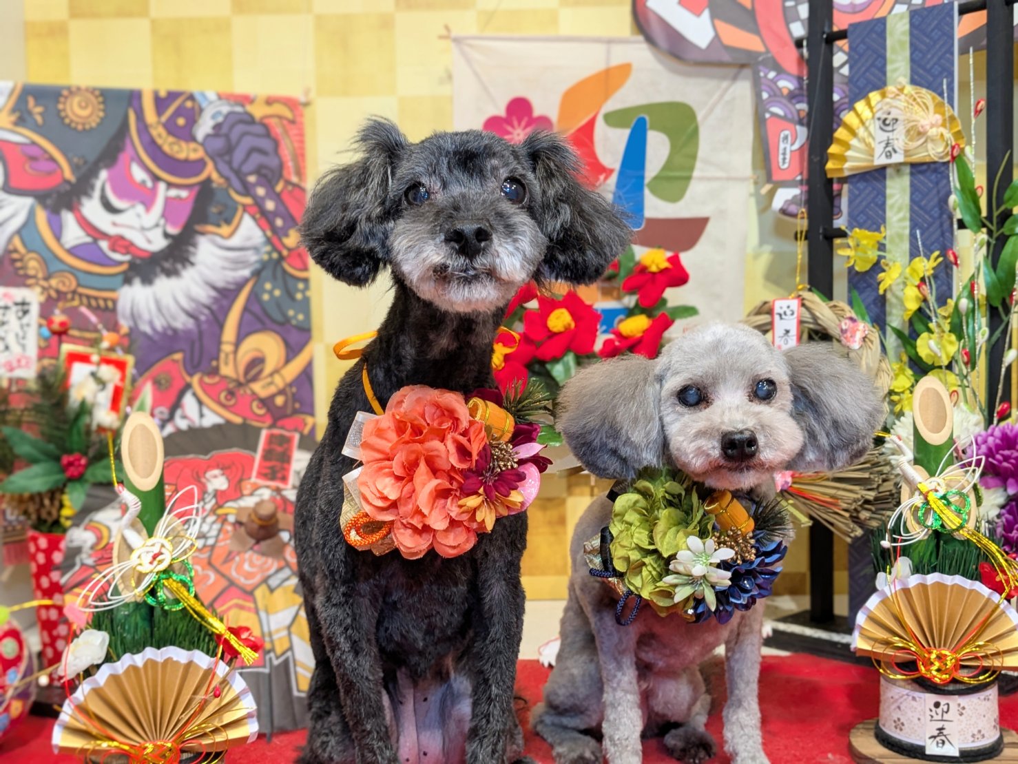 1月11日(日)のお客様