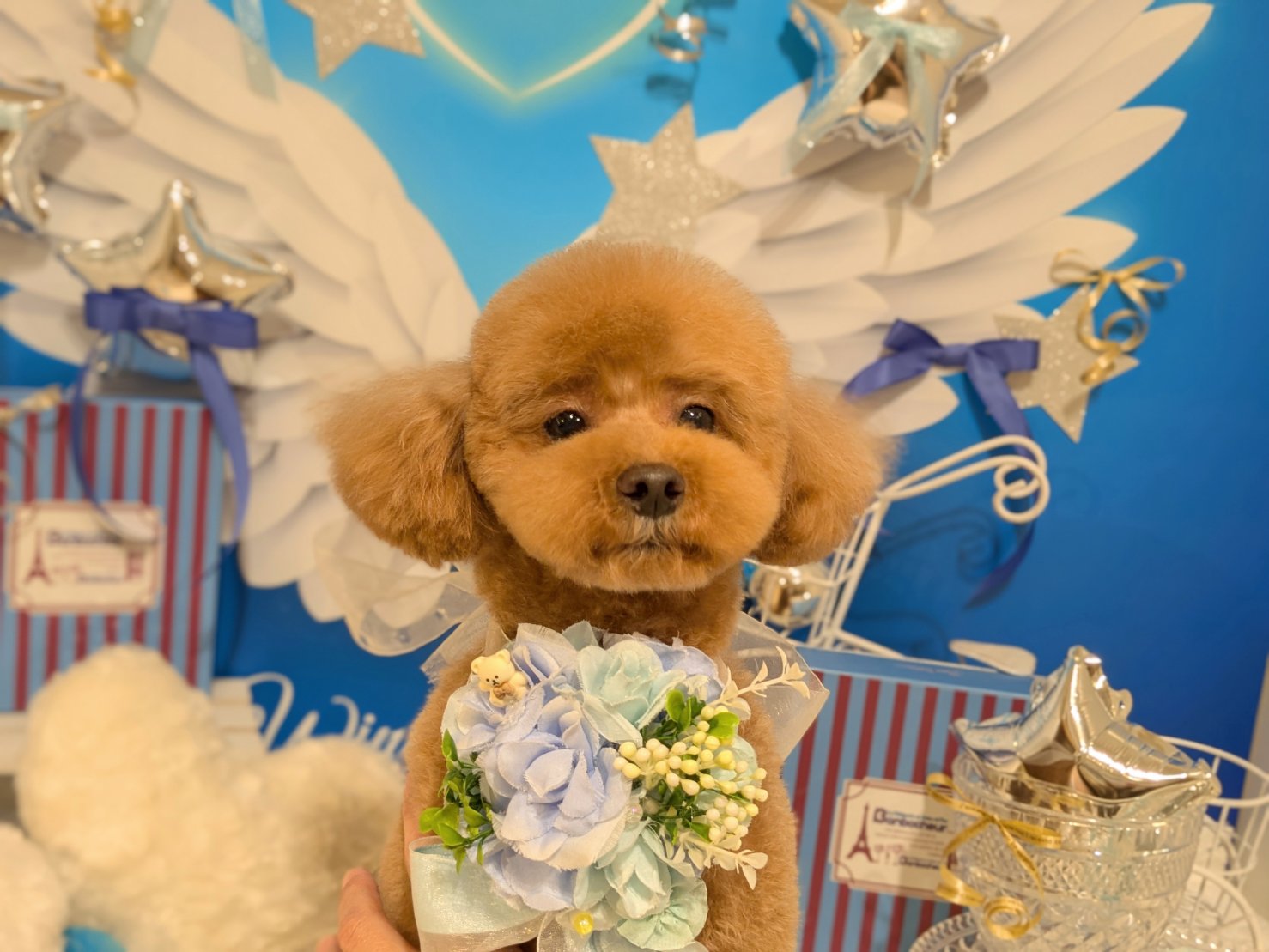 3月4日(水)のお客様