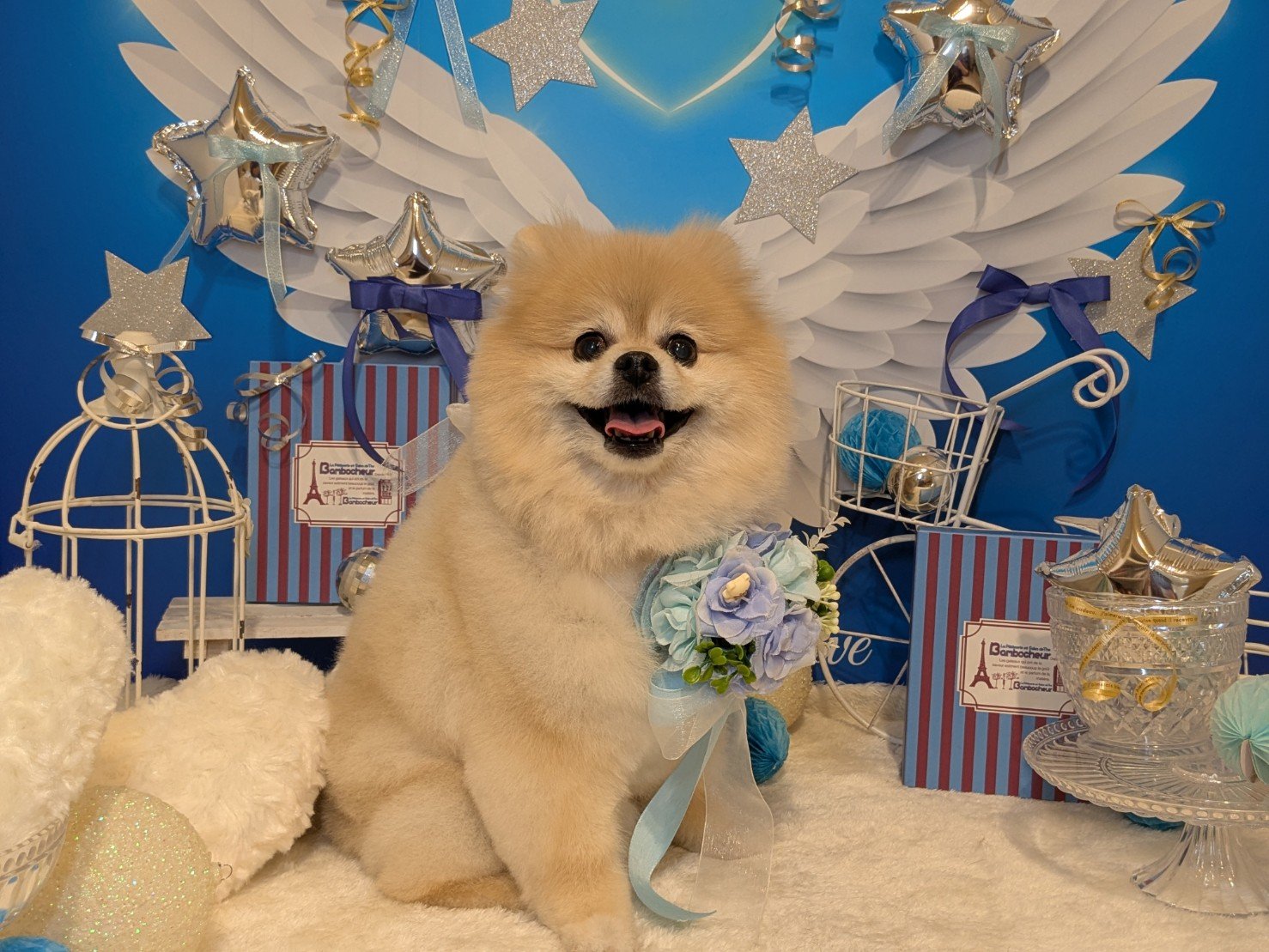 3月5日(木)のお客様