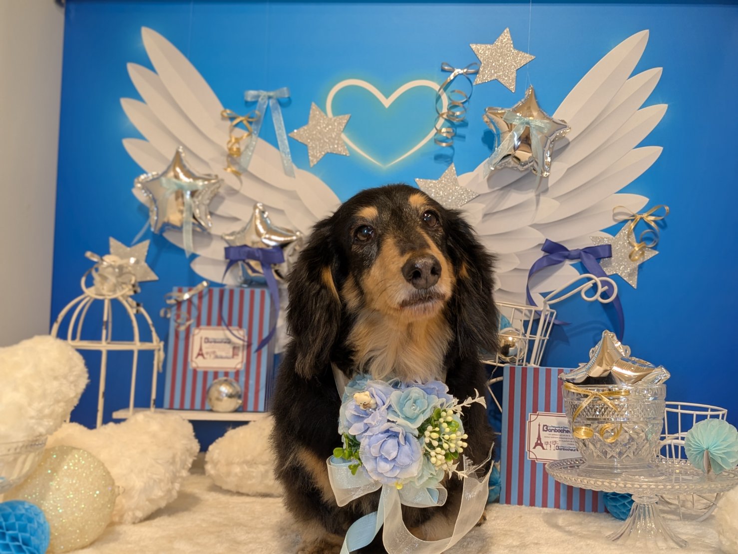 3月6日(金)のお客様