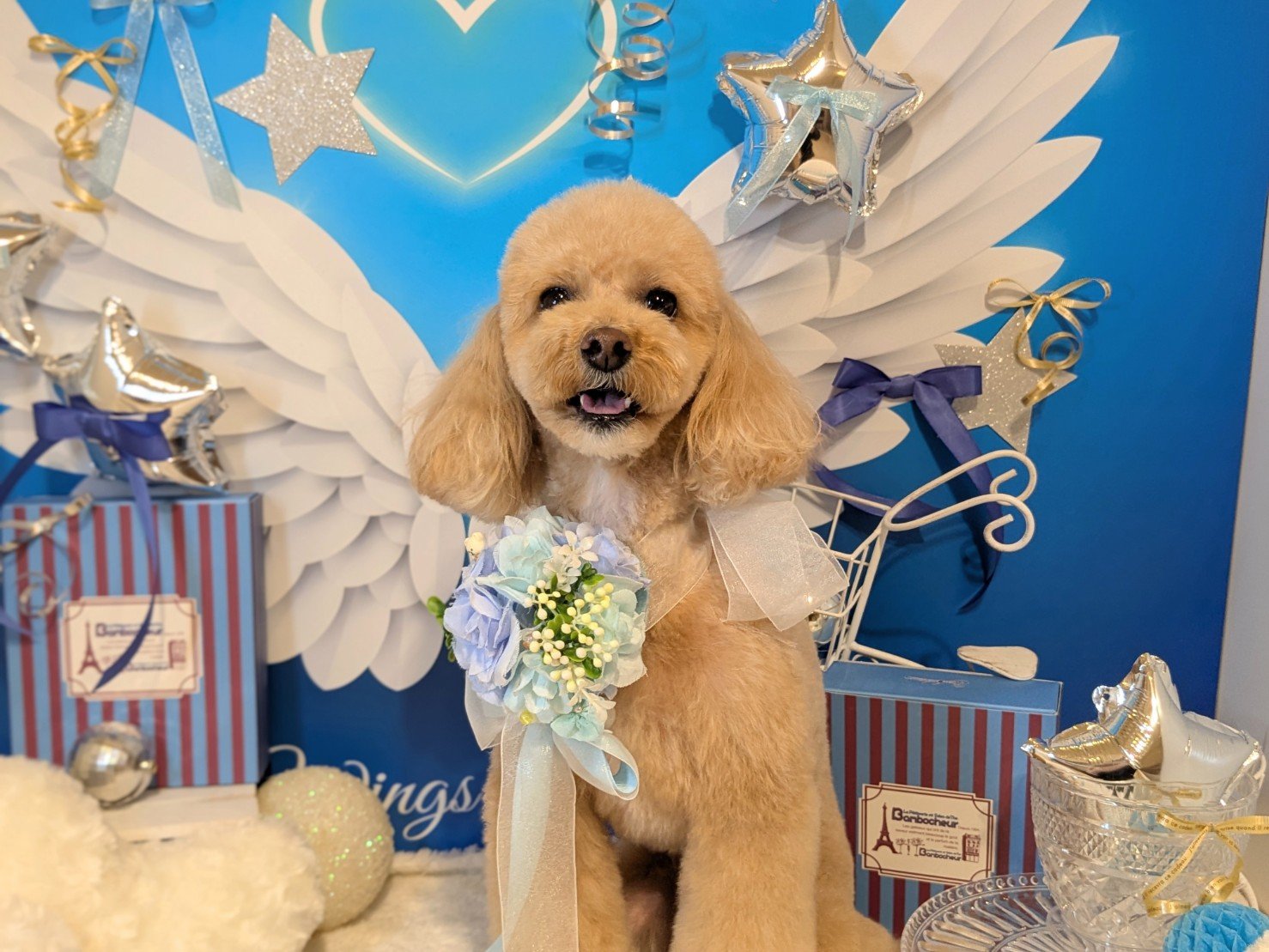 3月7日(土)のお客様