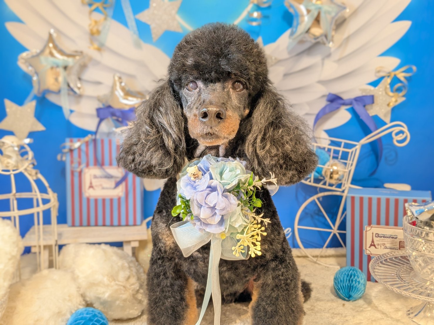 3月8日(日)のお客様