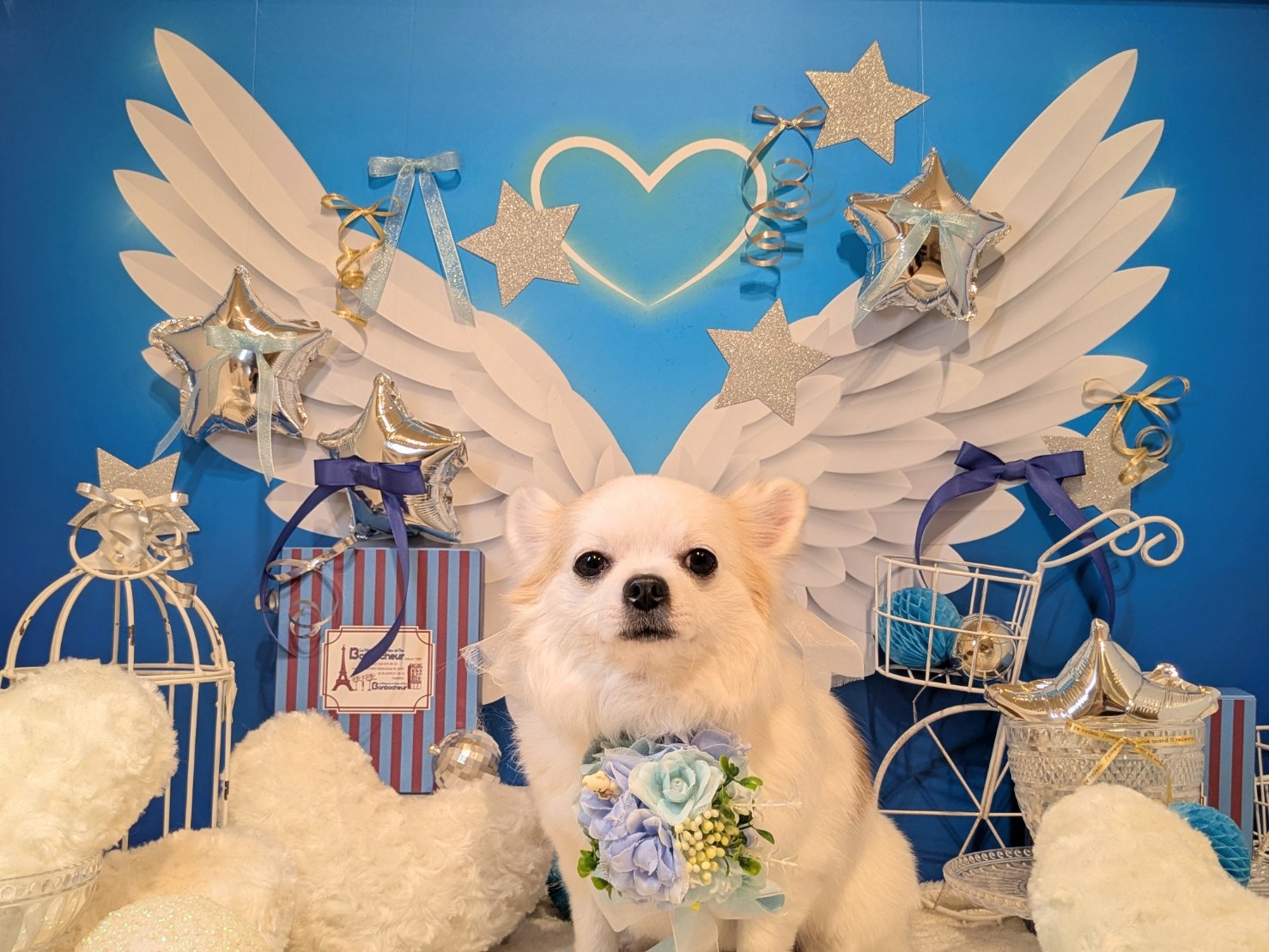 3月12日(木)のお客様