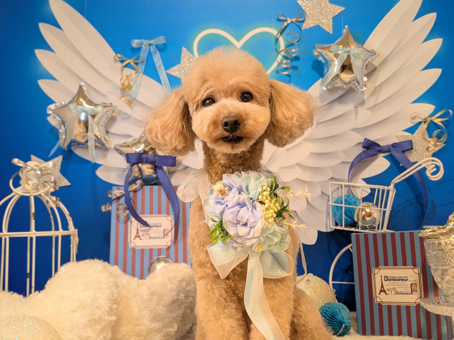 3月14日(土)のお客様