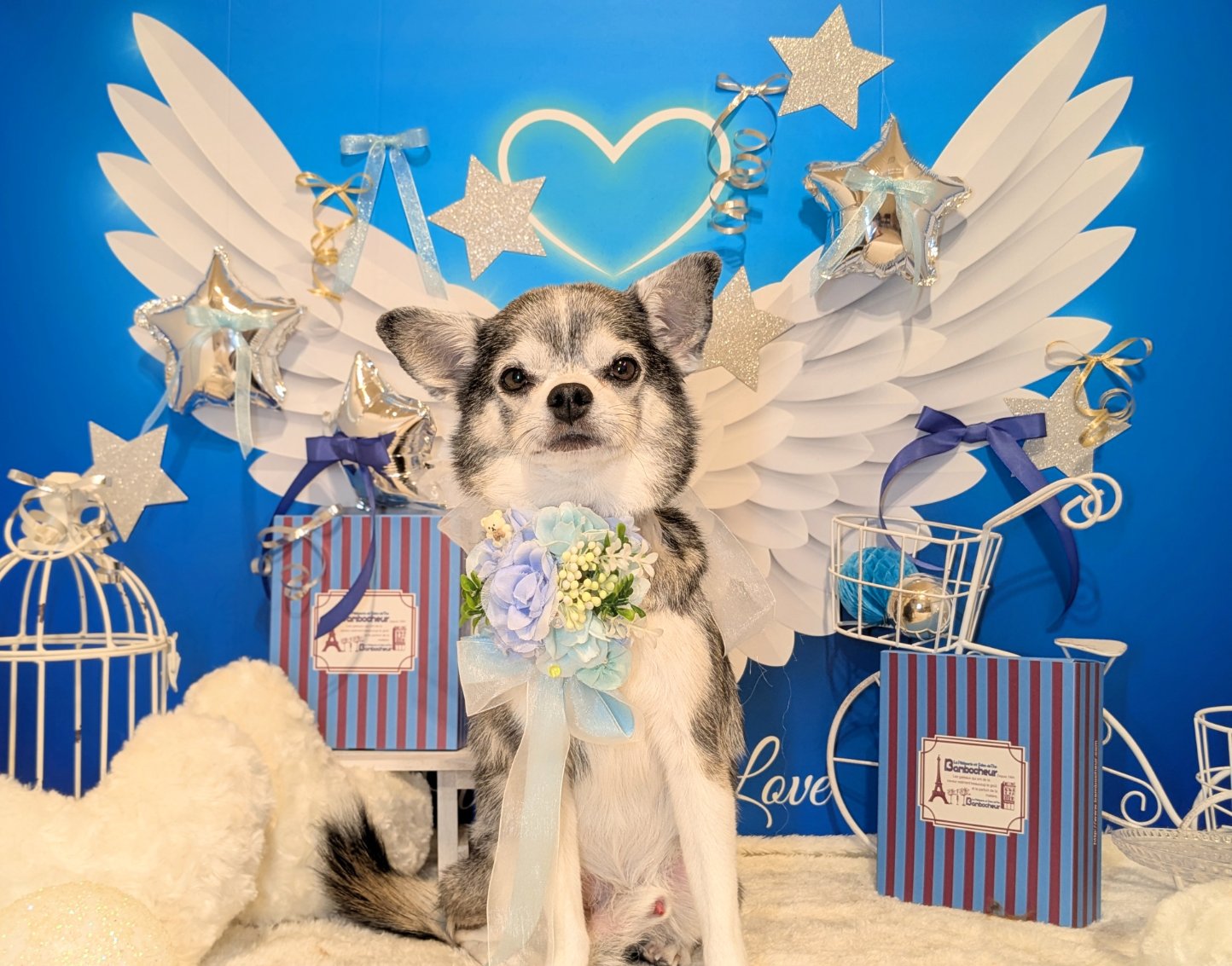 3月16日(月)のお客様