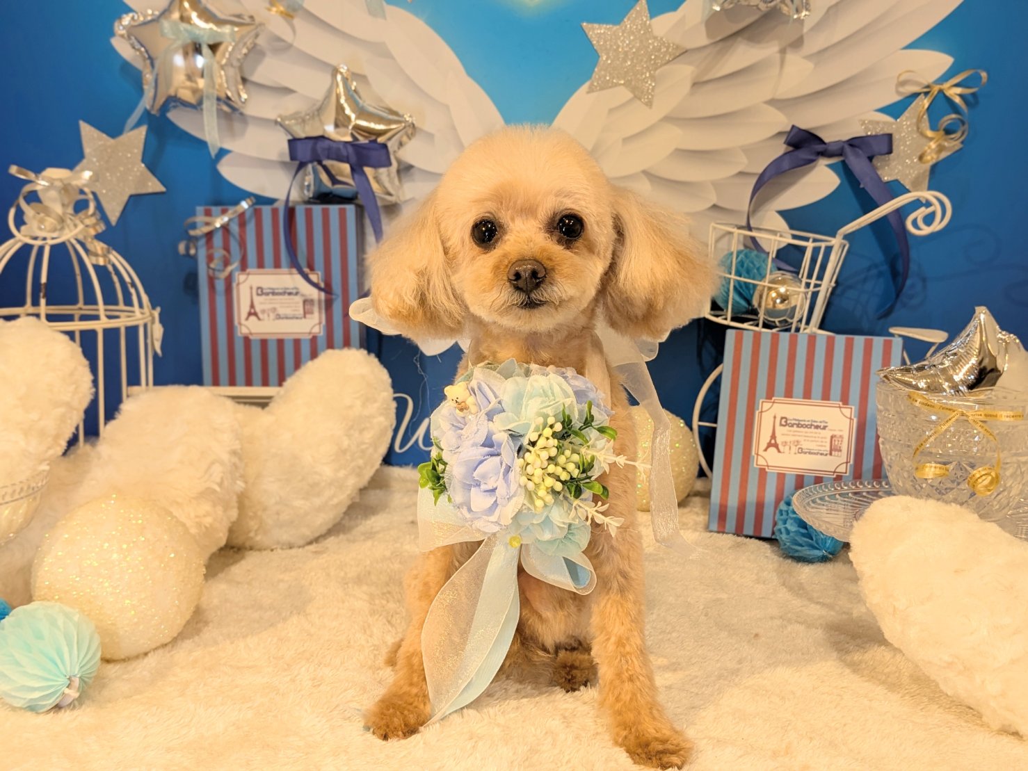 3月18日(水)のお客様