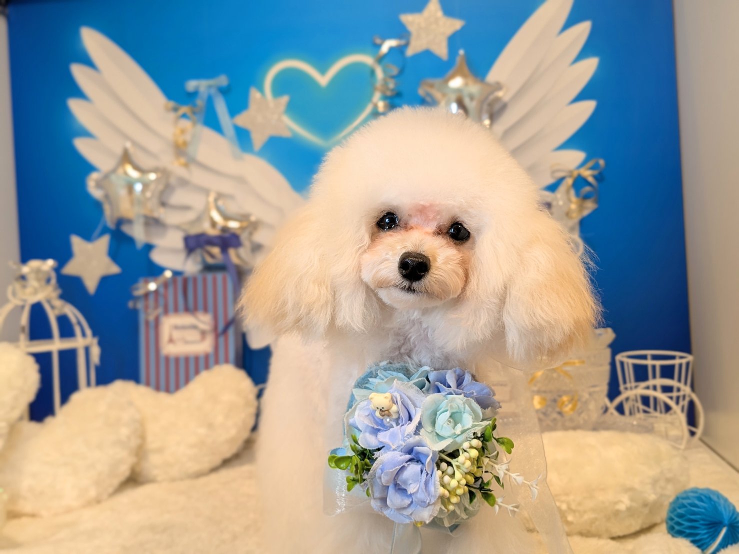 3月19日(木)のお客様