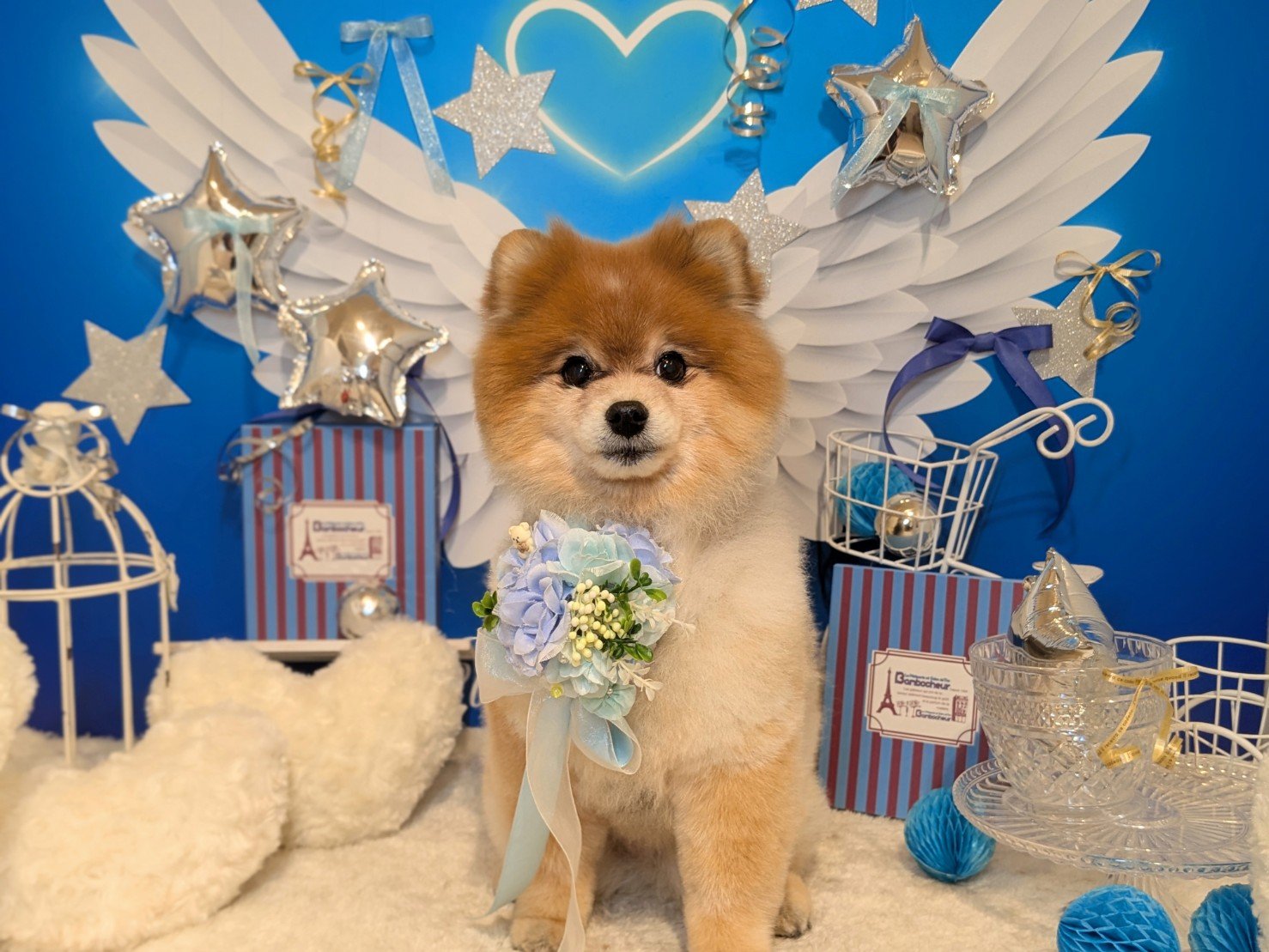 3月21日(土)のお客様