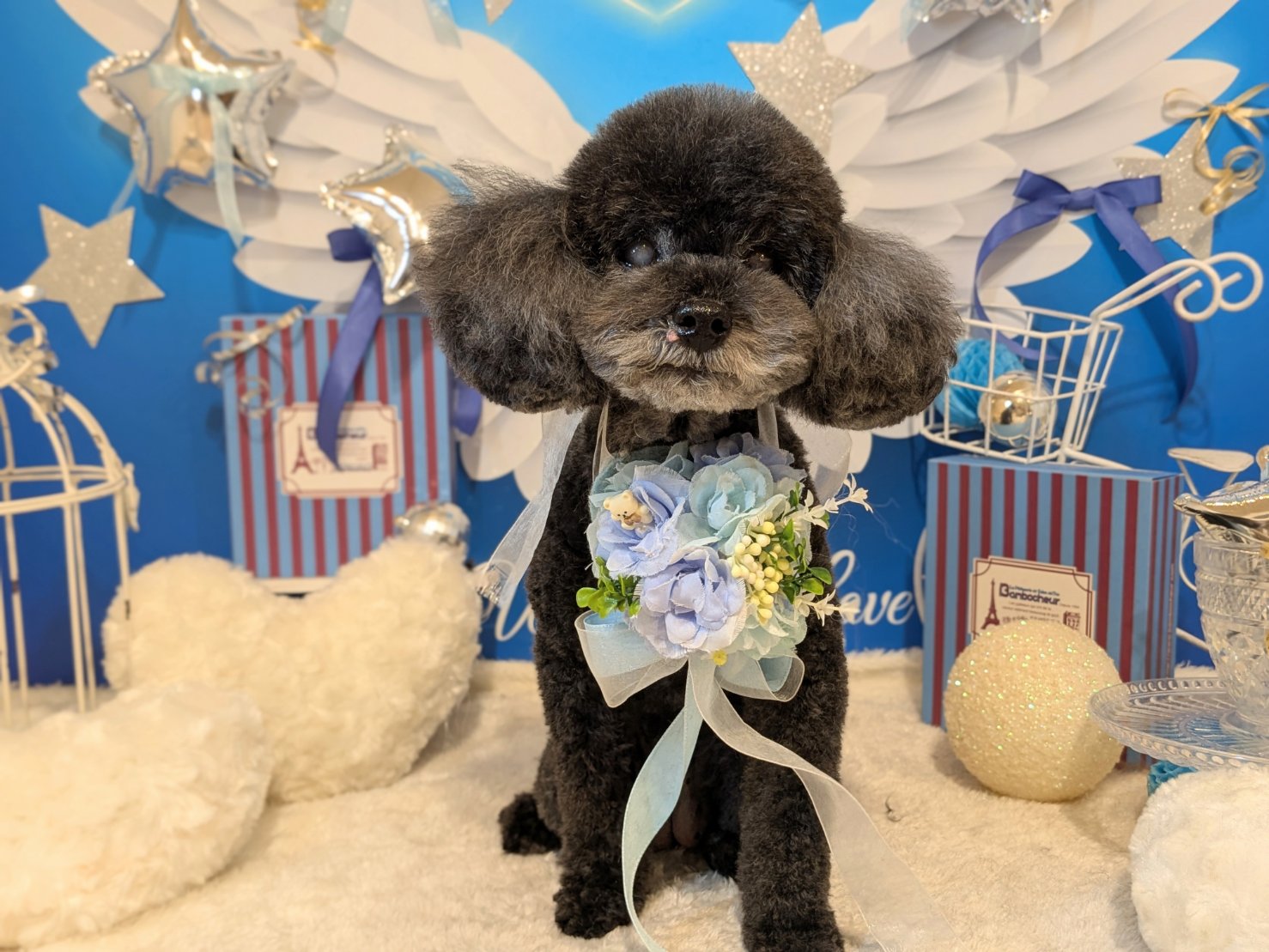 3月22日(日)のお客様