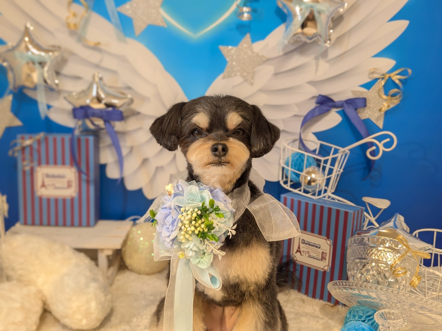 3月23日(月)のお客様