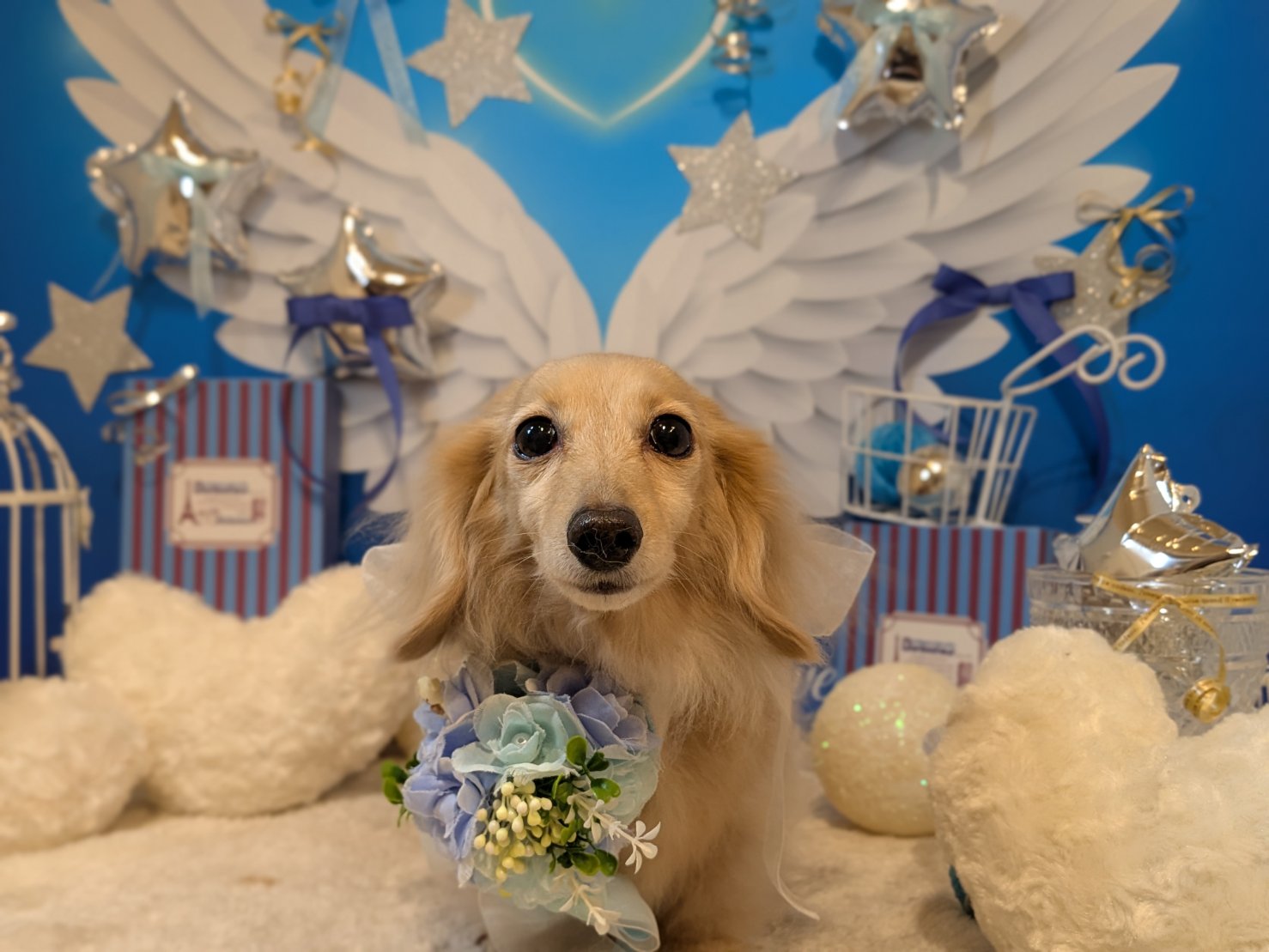 3月25日(水)のお客様