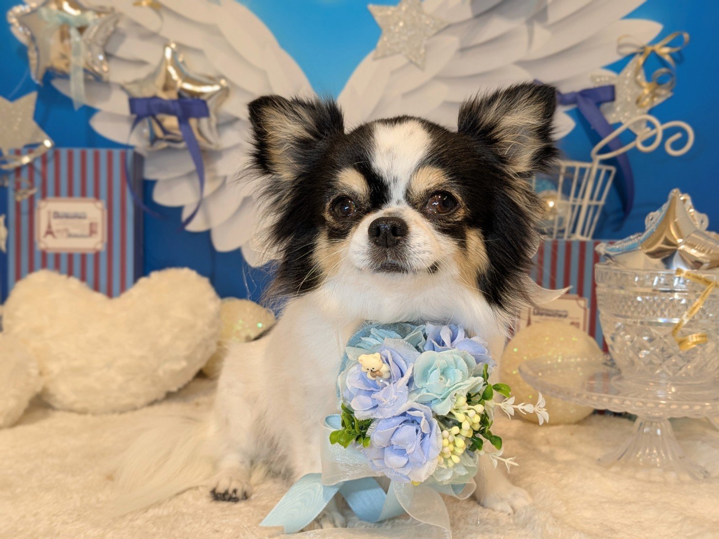 3月26日(木)のお客様