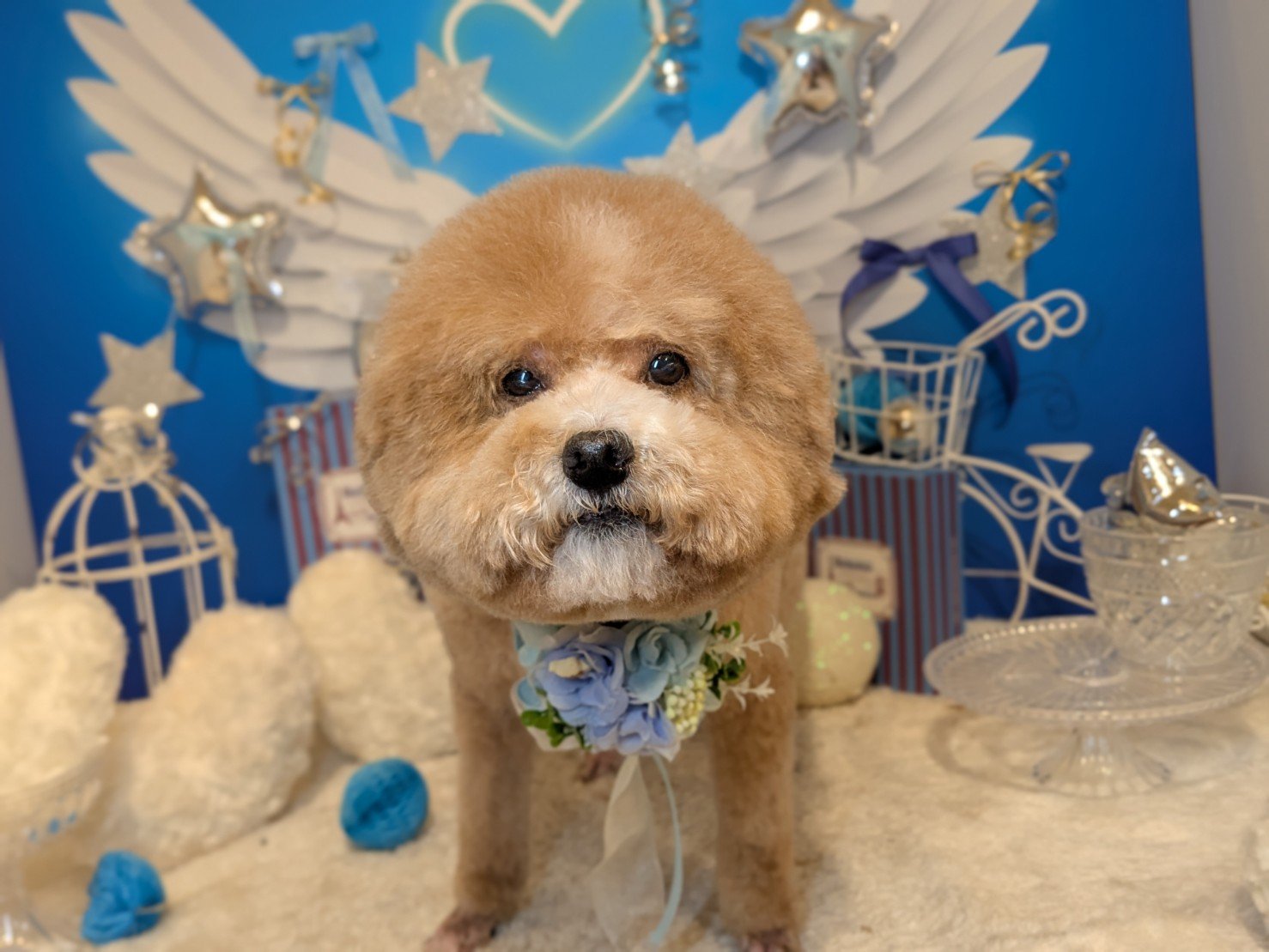 3月28日(土)のお客様