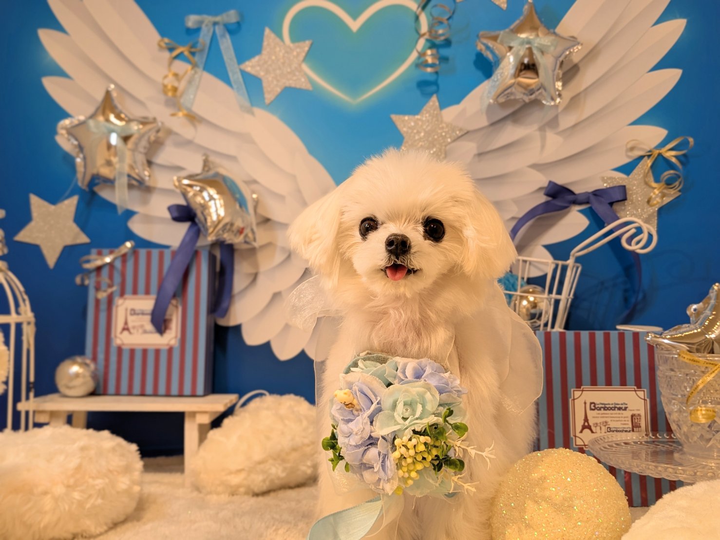 3月30日(月)のお客様