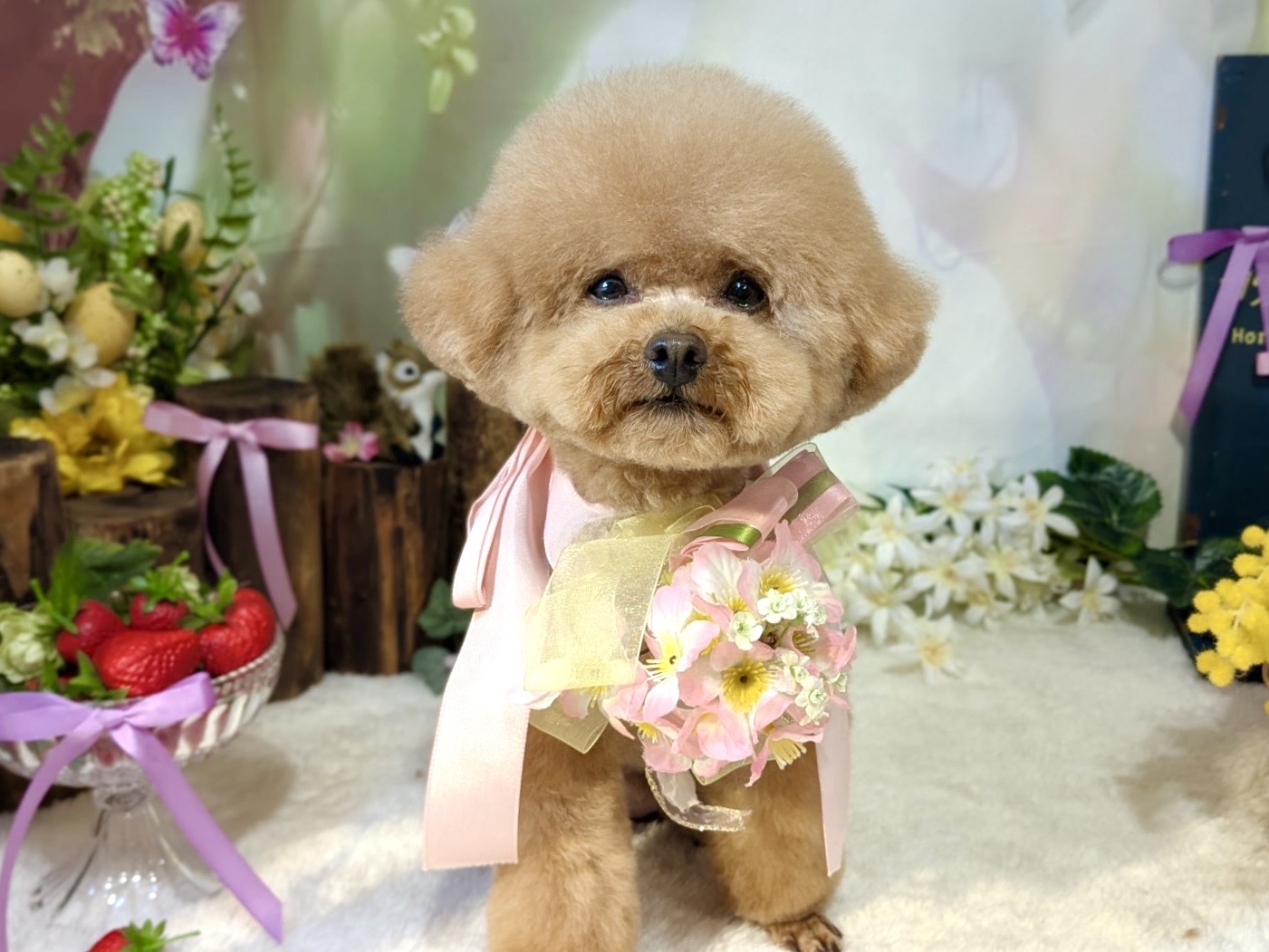 4月1日(水)のお客様