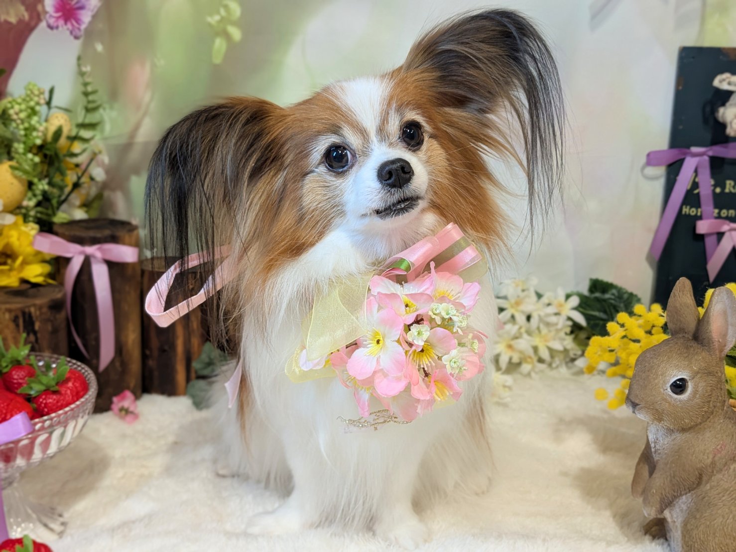 4月2日(木)のお客様